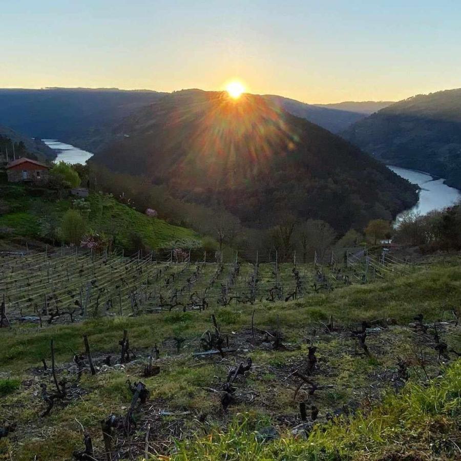Casa Das Xacias Ribeira Sacra A Airoa  Exterior photo